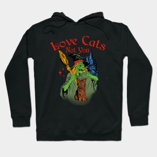 Love Cats Not You Hoodie